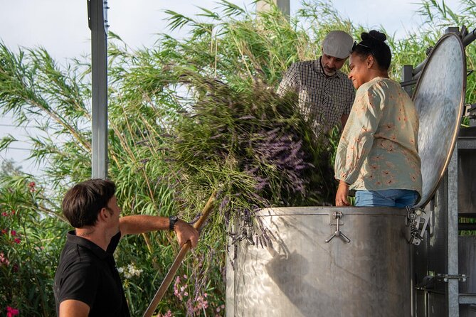 Lavender Harvesting and Distillation Workshop in Bellegarde - Filling your own floral water and oil