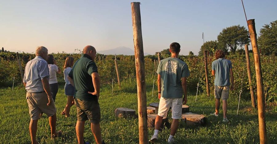 Lazise: Beekeeping Farm Tour and Tasting Experience - A small farm experience near Lake Garda