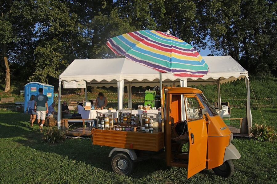 Lazise: Beekeeping Farm Tour and Tasting Experience - Three honeys, three different tastes