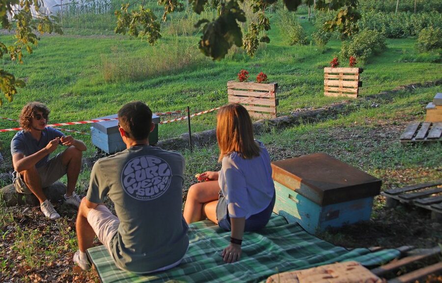 Lazise: Beekeeping Farm Tour and Tasting Experience - Is $46 a fair price?