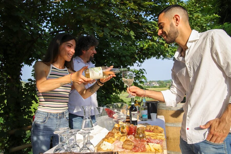 Lazise: Biodynamic Farm Tour and Natural Wine Tasting - Key points at a glance