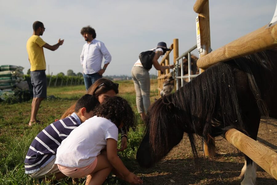 Lazise: Biodynamic Farm Tour and Natural Wine Tasting - Languages, timing, and practical planning