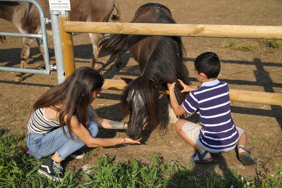 Lazise: Biodynamic Farm Tour and Natural Wine Tasting - Walking through vineyards, gardens, and farm life
