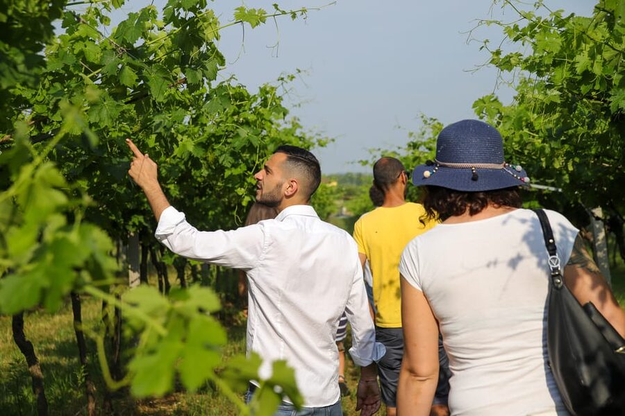 Lazise: Biodynamic Farm Tour and Natural Wine Tasting - Arriving at Colà di Lazise