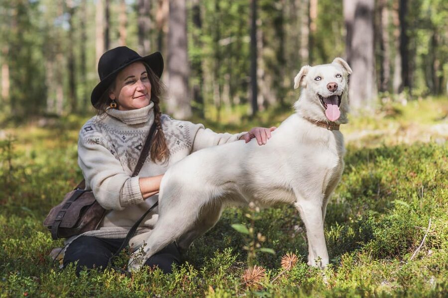 Levi: Horse and Husky Farm Visit with Juice and Cookies - What you learn about the sled dogs