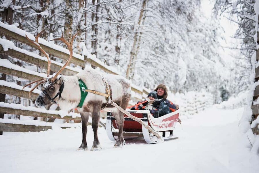Levi: Husky and Reindeer Farm Tour with Sled Ride - The husky ride is short and lively