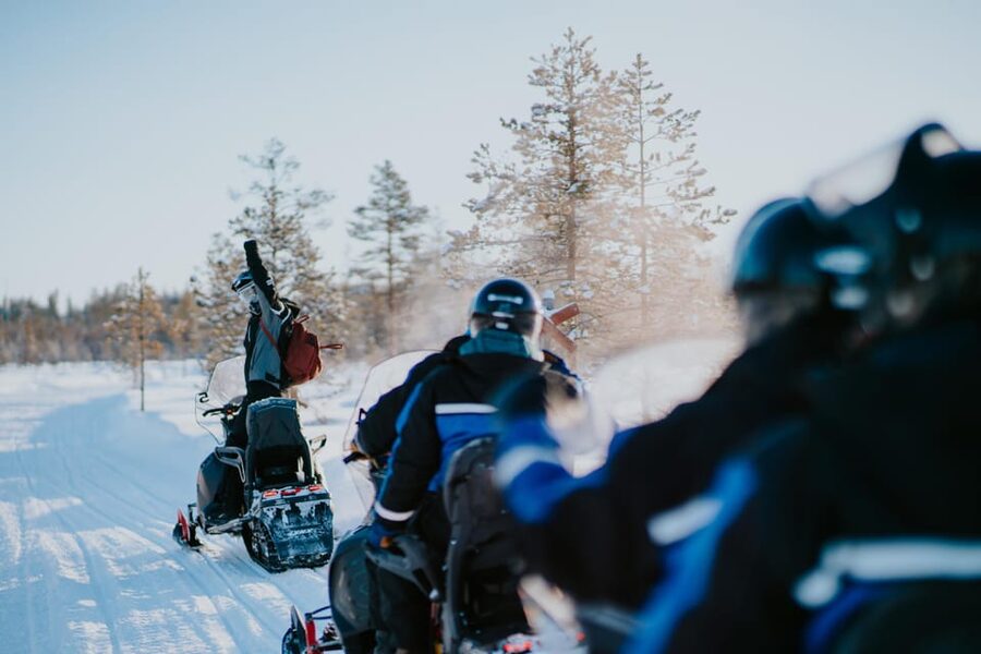 Levi: Husky and Reindeer Farm Visit with Snowmobiling - Booking details worth knowing