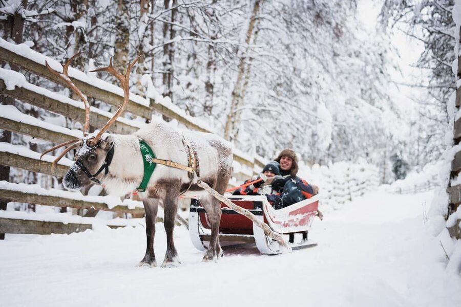 Levi: Husky and Reindeer Farm Visit with Snowmobiling - Learning to handle the shared snowmobile