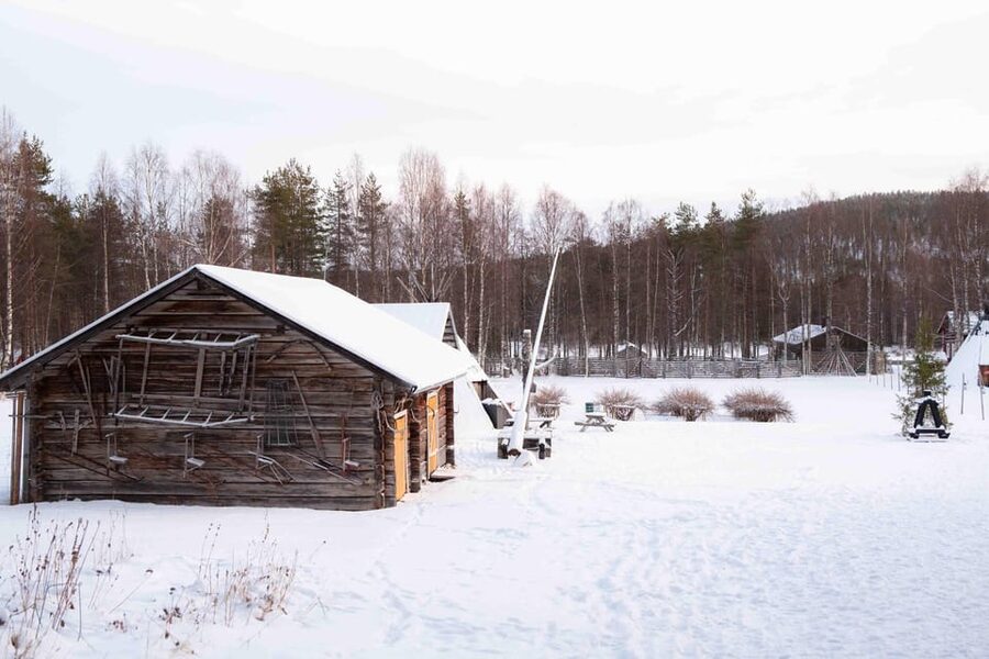 Levi: Reindeer Farm E-Fatbike Safari - Stories that add meaning to the animals