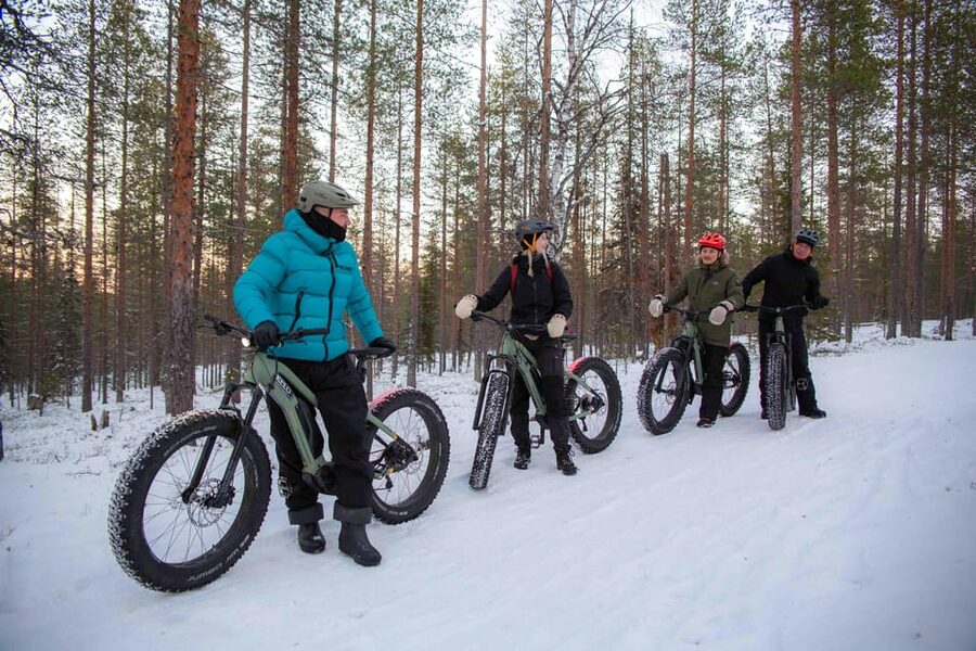 Levi: Reindeer Farm E-Fatbike Safari - Reindeer farm visit and feeding time