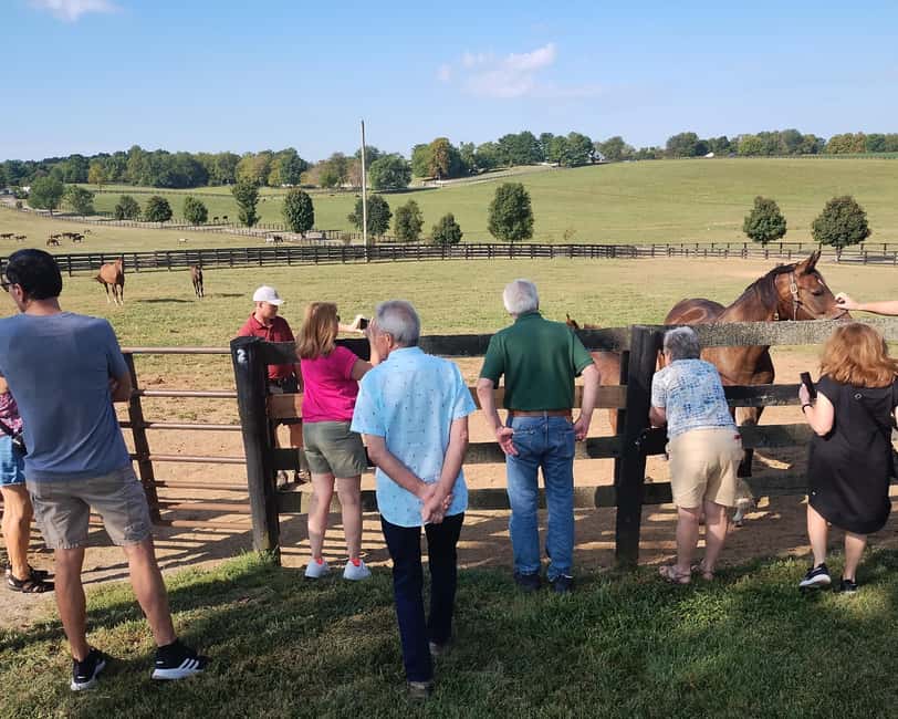 Lexington: Thoroughbred Horse Farm Tour and Scenic Bluegrass - Key points at a glance