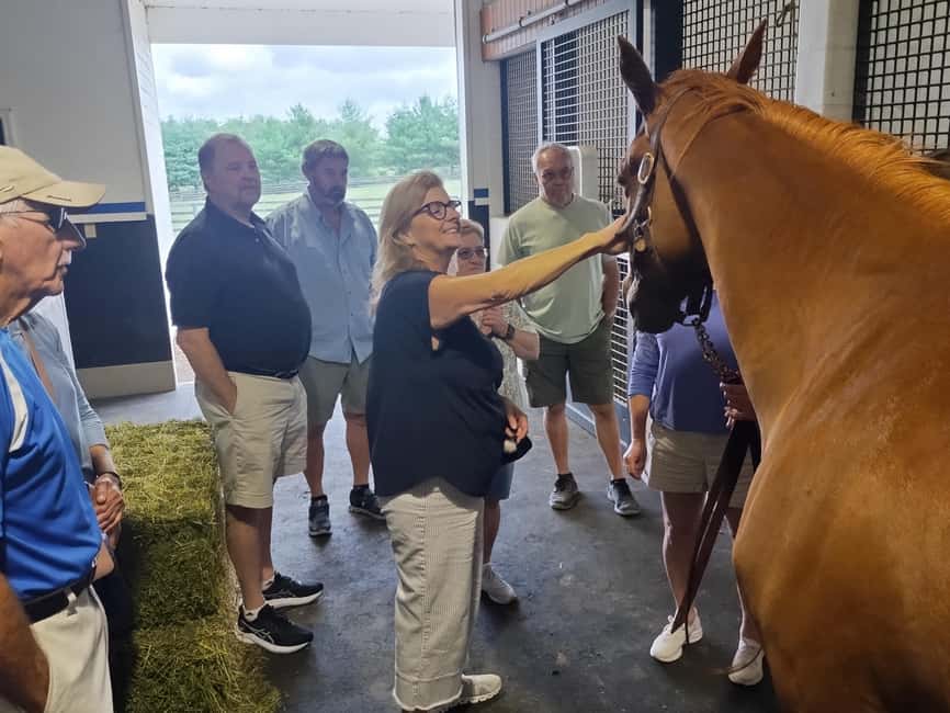 Lexington: Thoroughbred Horse Farm Tour and Scenic Bluegrass - Who will enjoy this most?