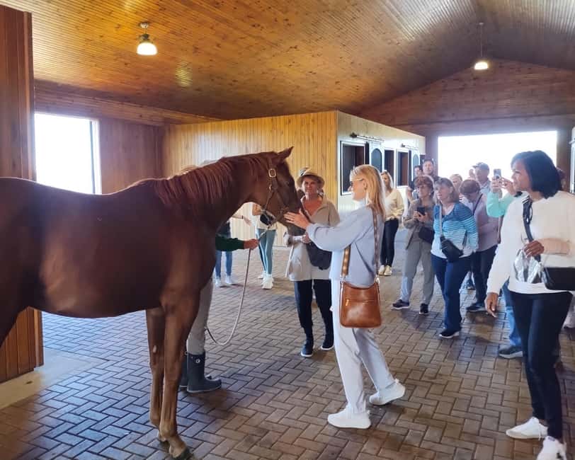 Lexington: Thoroughbred Horse Farm Tour and Scenic Bluegrass - Why Lexington horse country is worth your morning