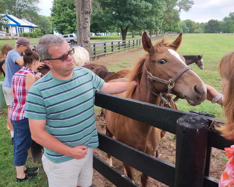 Lexington: Thoroughbred Horse Farm Tour and Scenic Bluegrass - The narrated ride through Bluegrass country