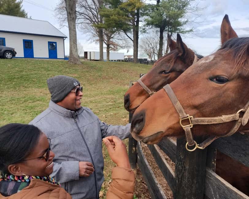 Lexington: Thoroughbred Horse Farm Tour and Scenic Bluegrass - Visiting the Thoroughbred farms