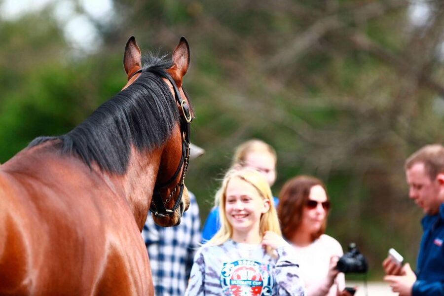 Lexington: Thoroughbred Horse Farm Tour and Scenic Bluegrass - The stories behind Secretariat, Seabiscuit, and Dreamer
