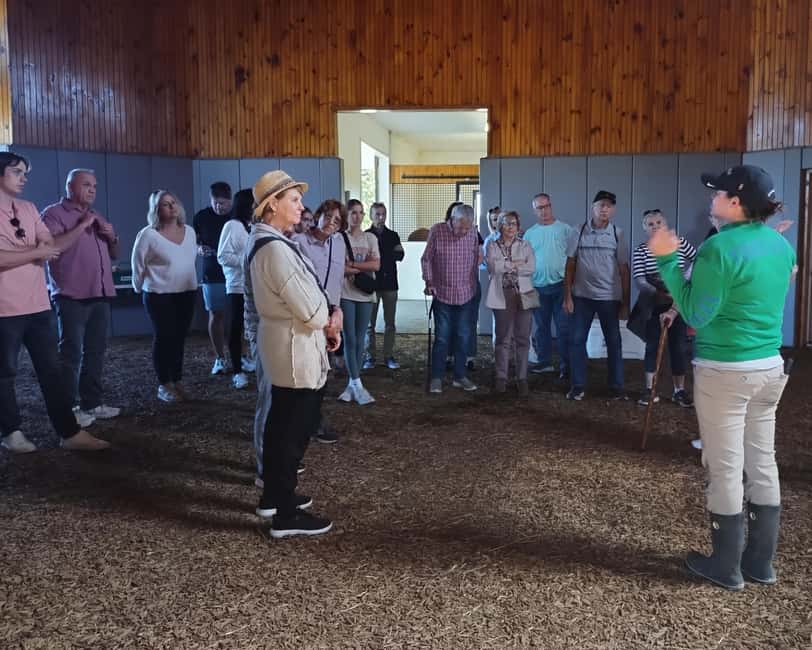 Lexington: Thoroughbred Horse Farm Tour and Scenic Bluegrass - Is $45 a good value?