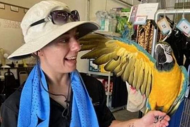 Lion Habitat Ranch Admission Ticket in Las Vegas - Accessibility and On-Site Practicalities
