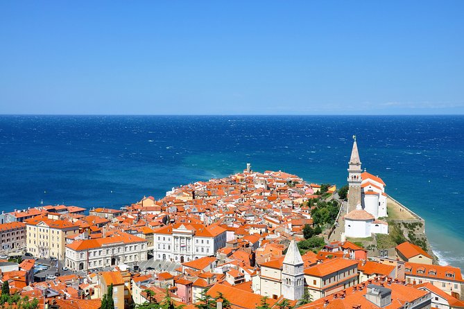 Lipica stud farm and Piran Tour from Ljubljana - Key points to know before booking