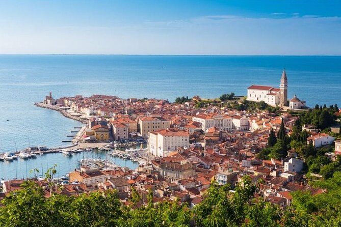 Lipica stud farm and Piran Tour from Ljubljana - The morning trip from Ljubljana