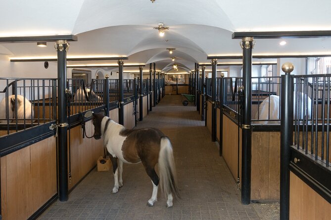 Lipica Stud Farm and Skocjan Caves from Koper - The walking challenge is real