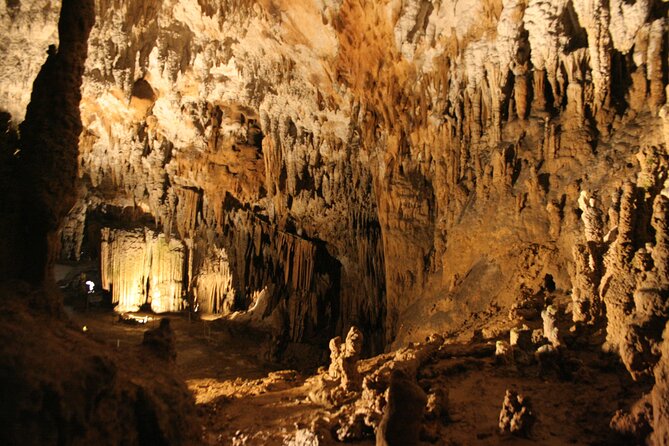 Lipica Stud Farm and Skocjan Caves from Koper - Who should book this tour?