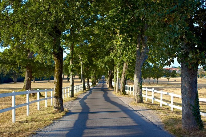 Lipica Stud Farm- Private Experience from Koper - Who will enjoy this private outing