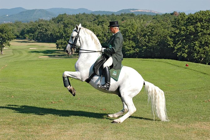 Lipica Stud Farm- Private Experience from Koper - Should you book the Lipica Stud Farm trip?