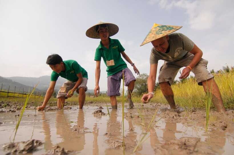 Living Land Farm Rice Experience - How to prepare for a muddy, sunny day