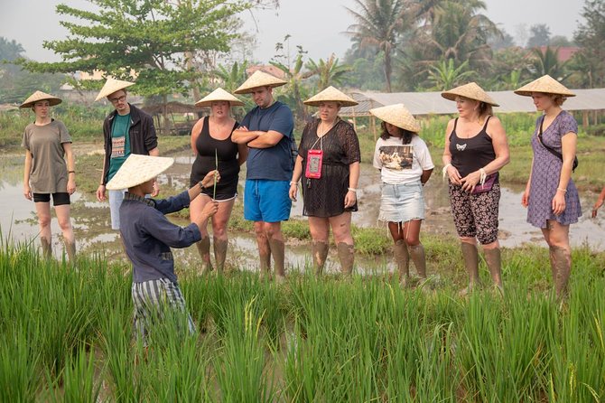 Living Land Rice Farming Experience - Add waterfalls and caves only with a clear plan