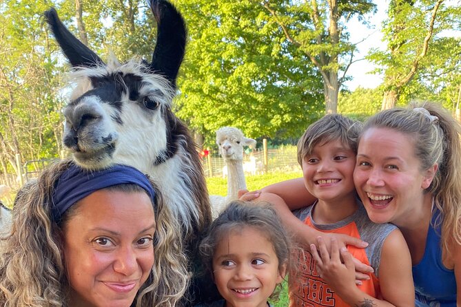 Llama/Alpaca Hike and Farm Tour - Meeting llamas and alpacas at Clover Brooke Farm
