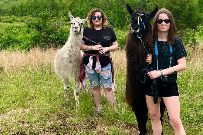 Llama/Alpaca Hike and Farm Tour - Why the animal mix adds to the visit