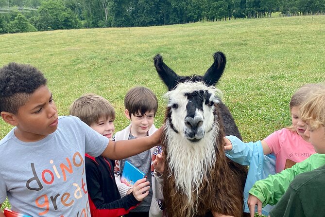 Llama/Alpaca Hike and Farm Tour - Who will enjoy this farm walk most?