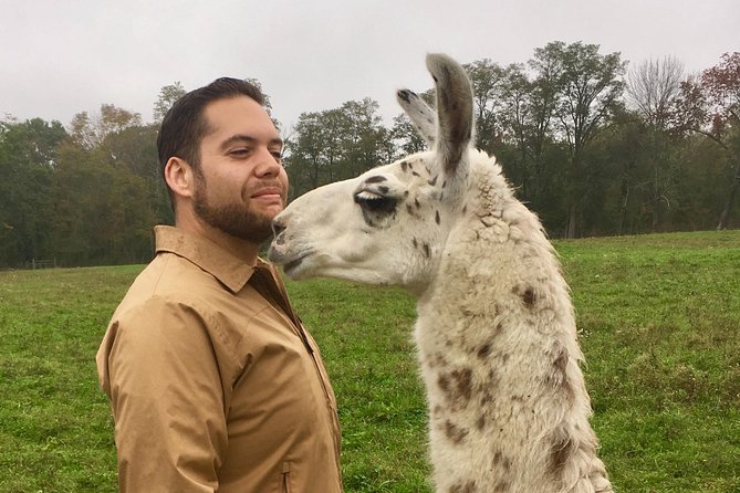 Llama/Alpaca Hike and Farm Tour - Llama and Alpaca 101 before the walk