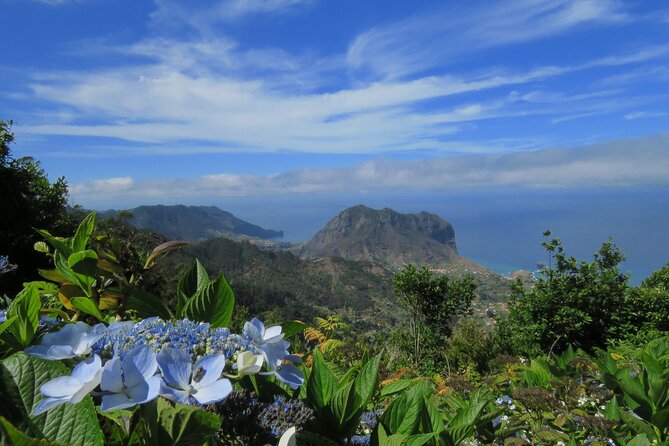 Local Farmers Market and 4WD Experience from Funchal - What the guide adds during the ride
