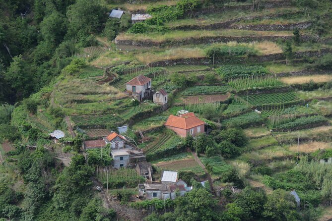 Local Farmers Market and 4WD Experience from Funchal - Christ the King and the Garajau viewpoint