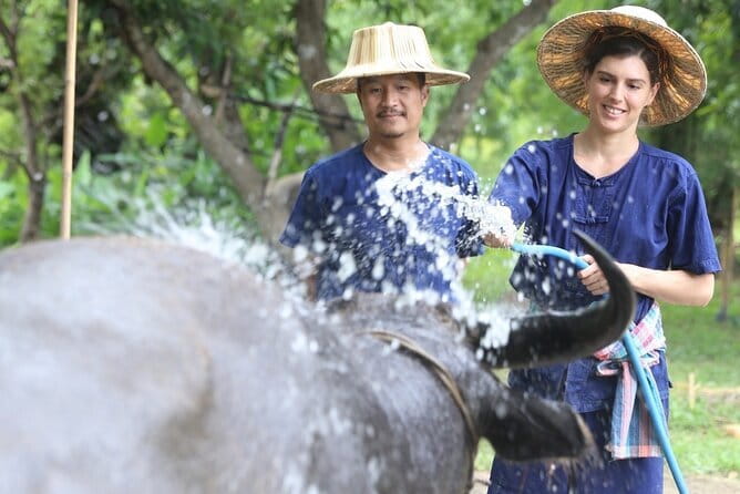 Local Farming Experience in Chiang Mai, Thailand - Why this small farm visit feels different