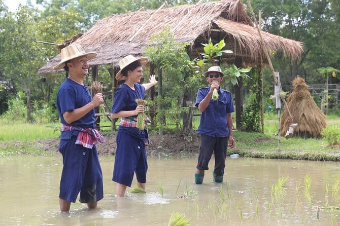 Local Farming Experience in Chiang Mai, Thailand - Who should choose this experience