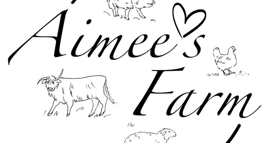 Lofoten (Stamsund and Leknes): Aimees Farm Experience - Key points at a glance