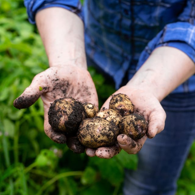 Lofoten (Stamsund and Leknes): Aimees Farm Experience - Practical points before you reserve