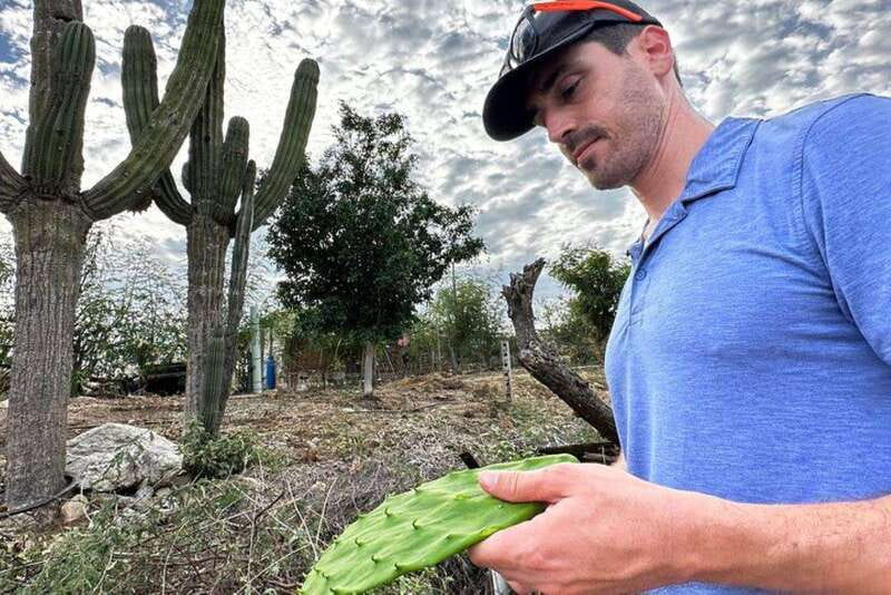 Los Cabos: Azteca Cactus Taco Farm to Table Cooking Class - Who will enjoy this Cabo cooking class?