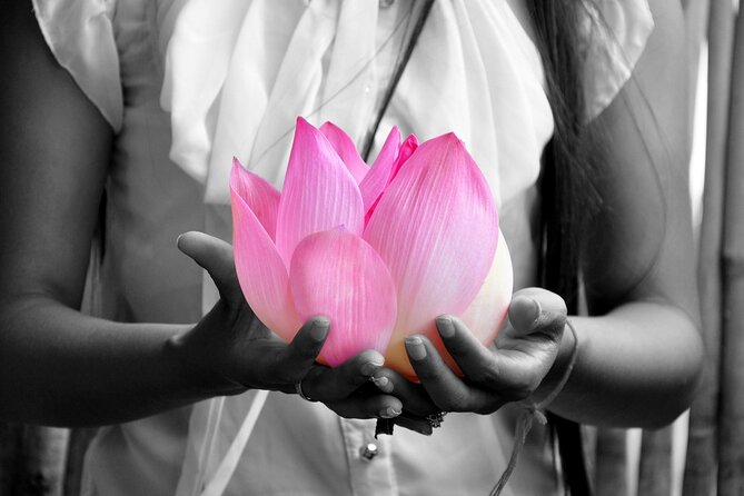 Lotus Silk Farm: Discover Learn and Experiment the Lotus Flower - Why this lotus farm visit feels different