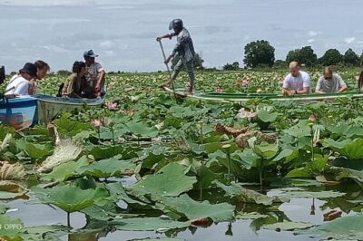 Lotus Silk Farm: Discover Learn and Experiment the Lotus Flower