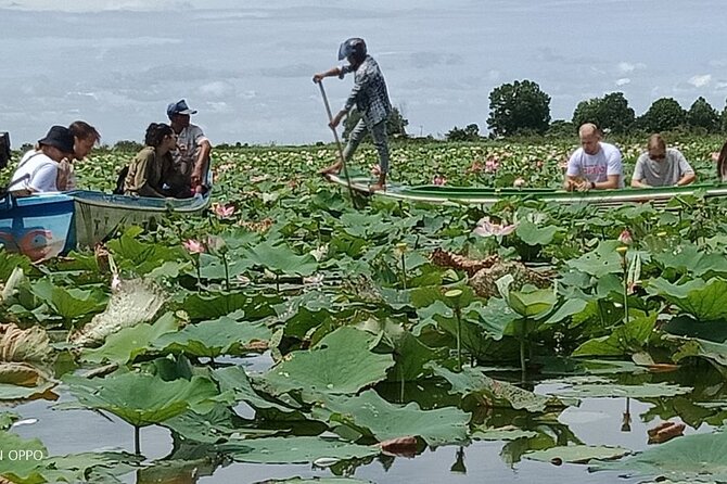 Lotus Silk Farm: Discover Learn and Experiment the Lotus Flower - Starting with tea and an introduction to lotus