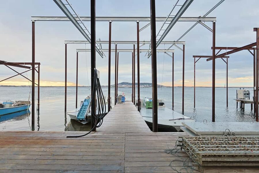 Loupian: Tour guide of our oyster farm and tasting - Following rope suspension from water to plate