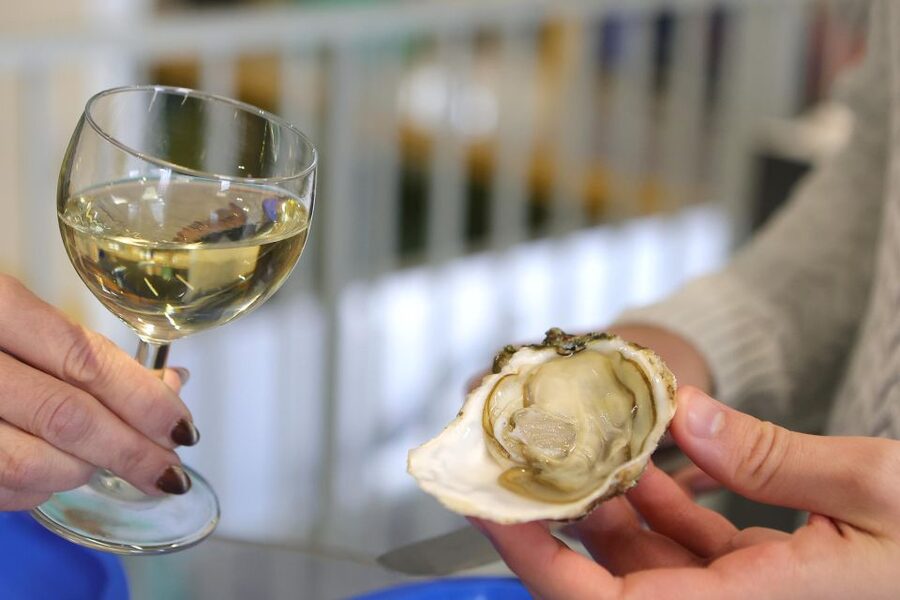 Loupian: Tour guide of our oyster farm and tasting - The $11 price and what it really covers