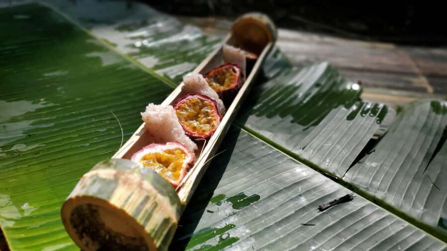Luang Prabang: Bamboo Forest Cooking-class & Farm Visit - Practical tips for a better forest day