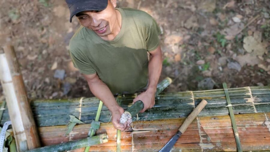 Luang Prabang: Bamboo Forest Cooking-class & Farm Visit - Should you book the Khmu forest cooking day?