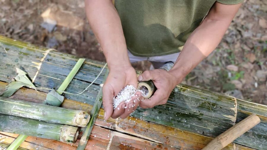 Luang Prabang: Bamboo Forest Cooking-class & Farm Visit - FAQ
