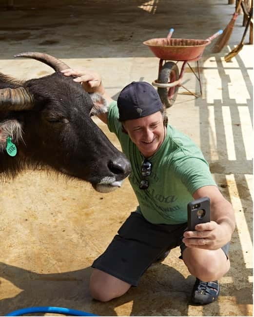 Luang Prabang: Farm Tour and Buffalo Buffet Adventure - Meeting the buffalo at Laos Buffalo Dairy